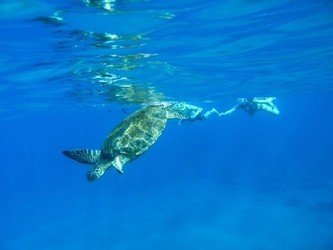 Kayak Snorkel Ocean Safari f-4