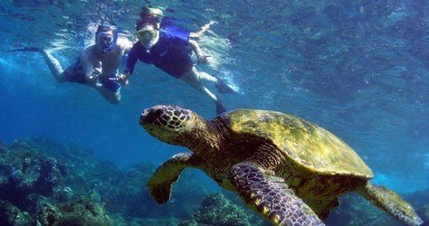 Kayak and Snorkel West Maui at Olowalu (3.5 hrs) f-7