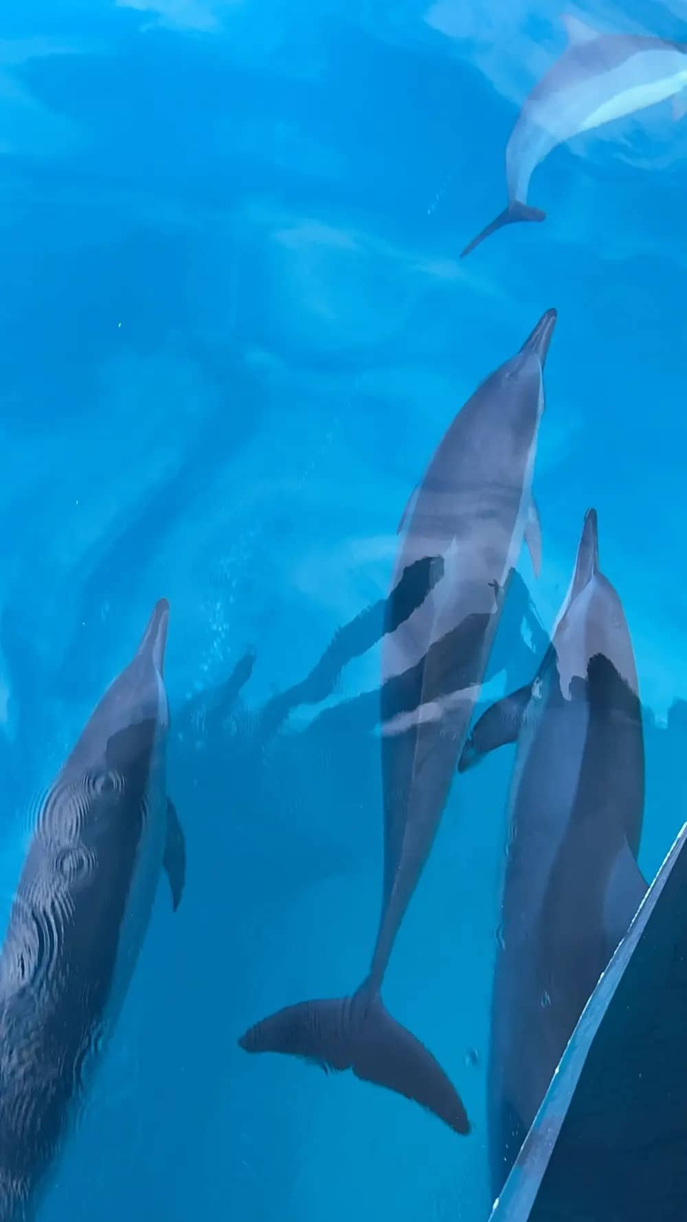 Makana Charters & Tours - 2021-06-13-09-07-31-252-5scw1 (1)