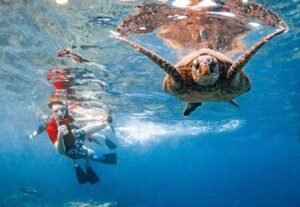 Molokini Crater & Turtle Town Snorkeling 3 Hours f-10