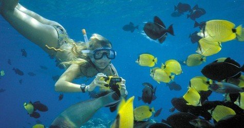 Molokini Snorkel & Sail f-4