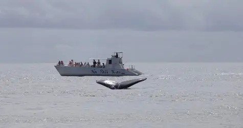 Na Pali Coast Tour on the amazing Na Pali Kai III f-2