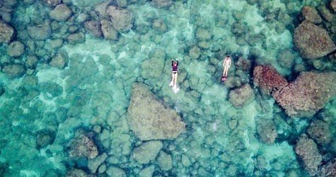 Sharks Cove Self-Guided Snorkel f-1