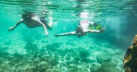 Sharks Cove Self-Guided Snorkel f-2