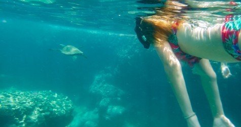 Sharks Cove Self-Guided Snorkel f-3