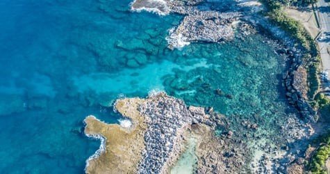 Sharks Cove Self-Guided Snorkel f-5