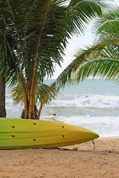 South Maui Turtle Reef Discovery f-3