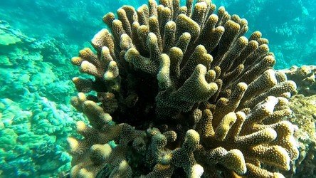 Wailea Coastline Discovery f-13