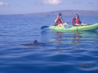 Wailea Coastline Discovery f-7