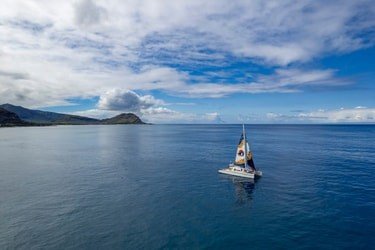 West Oahu Dolphin Watch and Turtle Snorkel Sail w Lunch f-4