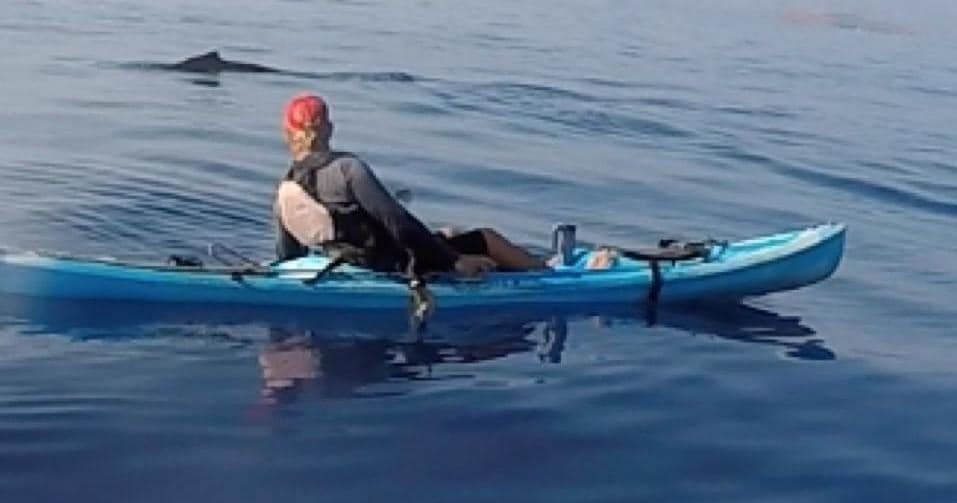 Whale Watch & Reef Snorkel - West Maui f-1