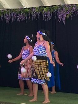 #1 Private VIP Daytime HAWAIIAN AUTHENTIC LUAU” & WAIMEA WATERFALL Experience!!” f-11