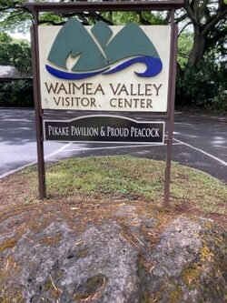 #1 Private VIP Daytime HAWAIIAN AUTHENTIC LUAU” & WAIMEA WATERFALL Experience!!” f-13