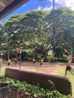 #1 Private VIP Daytime HAWAIIAN AUTHENTIC LUAU” & WAIMEA WATERFALL Experience!!” f-9