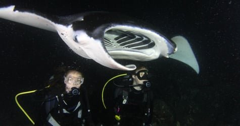 Afternoon Reef & Manta Snorkel2-Tank Scuba Adventure f-2