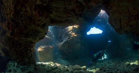 Afternoon Reef & Manta Snorkel2-Tank Scuba Adventure f-4