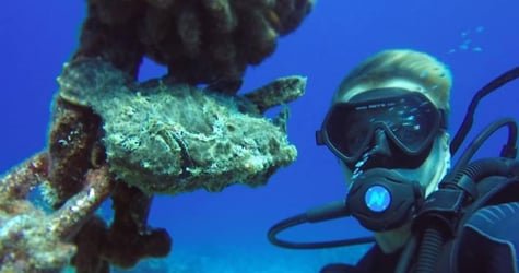 Afternoon Reef & Manta Snorkel2-Tank Scuba Adventure f-6