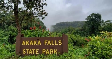 Akaka Falls Tour – Hilo Discovery and Volcanoes National Park Explorer f-2