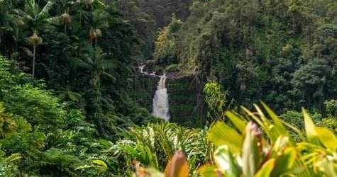 Akaka Falls Tour – Hilo Discovery and Volcanoes National Park Explorer f-3