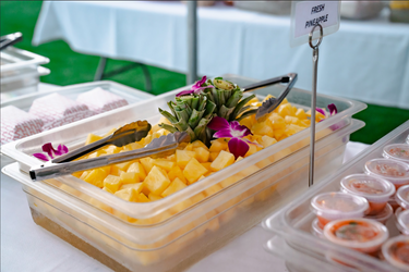 Ali’i Premium Package Midsection Seating f-5