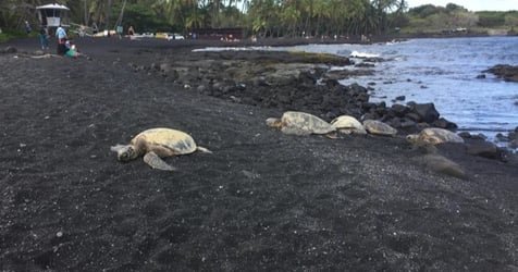 Choose Your Own Adventure From Kona f-2