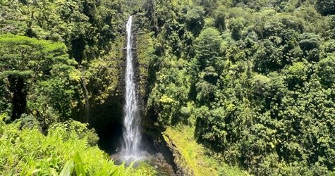 Choose Your Own Adventure From Kona f-3