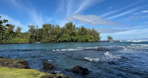Customized Big Island Tour – Kona, Hilo, Waterfalls, Volcanoes National Park & More f-6