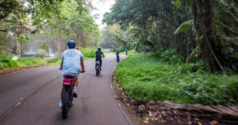 Fat Tire E-Bike Tour Kalapana Beach Road and Volcanoes National Park f-8