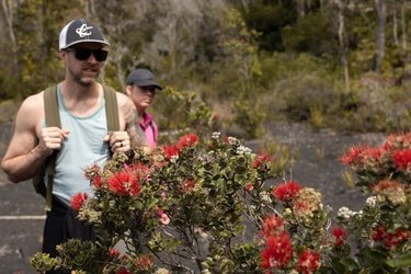 Guided Three-hour Hike in Volcanoes National Park f-10