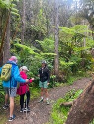 Guided Three-hour Hike in Volcanoes National Park f-5