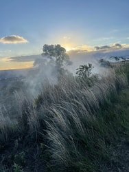 Guided Three-hour Hike in Volcanoes National Park f-7