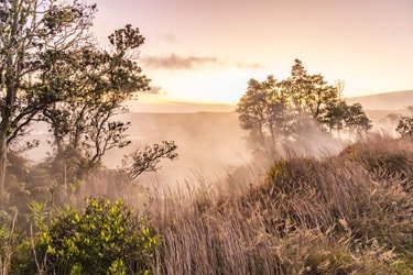 Hawaii Volcanoes National Park Photography Gallery f-13