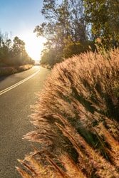 Hawaii Volcanoes National Park Photography Gallery f-9
