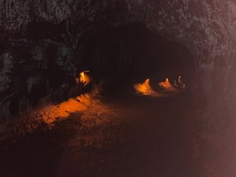 Hawaii’s Volcanoes National Park Tour f-3