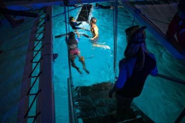 Late Night Manta Ray Snorkel f-5