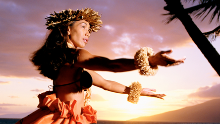 Luau Transportation Private Group Oahu f-6