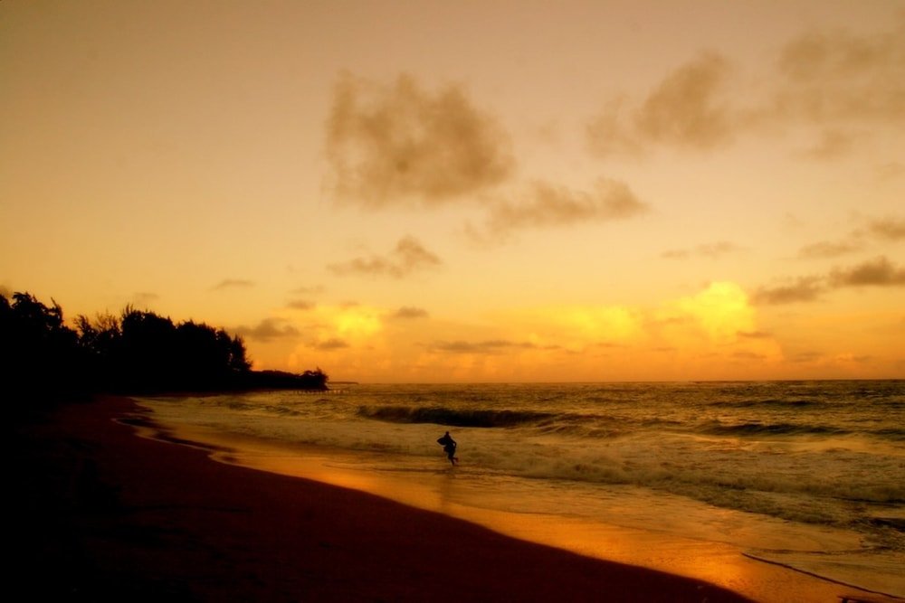 Luxury Sunset Shore Luau f-1