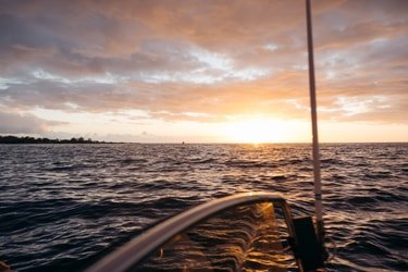 Mid-Pacific Manta Ray Night Snorkel f-6