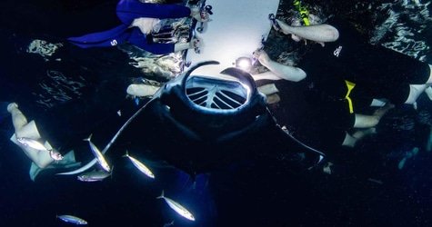 Night Manta Ray Snorkeling Tour f-1