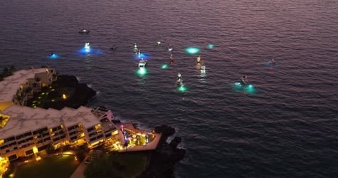 Night Manta Ray Snorkeling Tour f-2