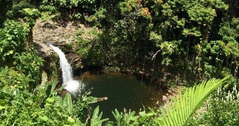 PRIVATE Heavenly Hamakua from Kona f-4