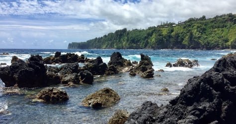 PRIVATE Heavenly Hamakua from Kona f-5