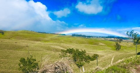 PRIVATE Heavenly Hamakua from Kona f-6