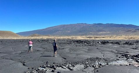 PRIVATE Heavenly Hamakua from Kona f-7