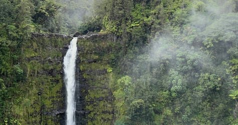 PRIVATE Heavenly Hamakua from Kona f-8