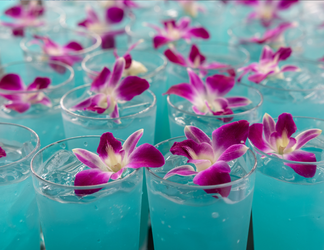 Paina Waikiki Luau (Online Reservation) f-8