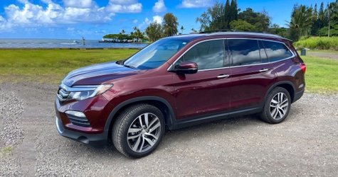 Private Custom Van Full Day Guided Tour – Hilo, Hawaii f-1