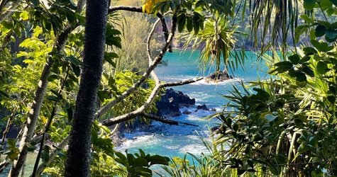 Private Custom Van Full Day Guided Tour – Hilo, Hawaii f-10