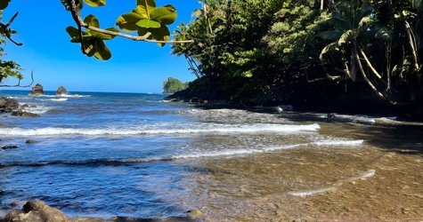 Private Custom Van Full Day Guided Tour – Hilo, Hawaii f-3