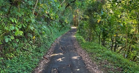 Private Custom Van Full Day Guided Tour – Hilo, Hawaii f-5